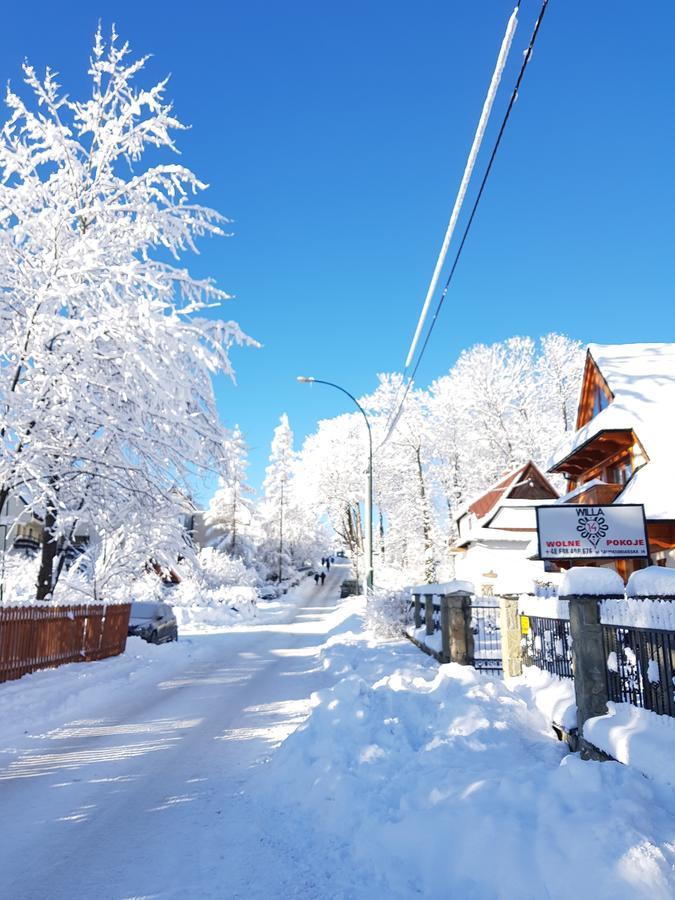 Willa 14 Zakopane Bagian luar foto