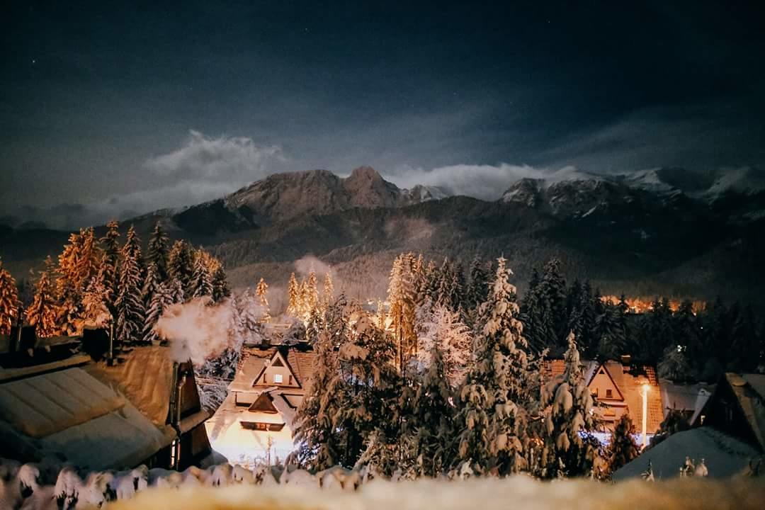 Willa 14 Zakopane Bagian luar foto