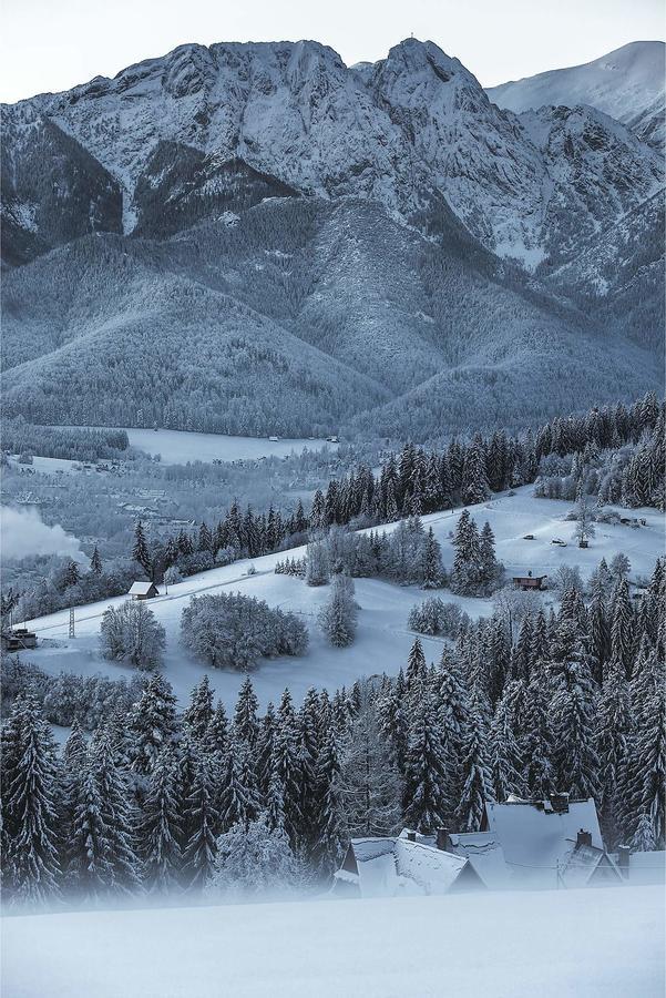 Willa 14 Zakopane Bagian luar foto